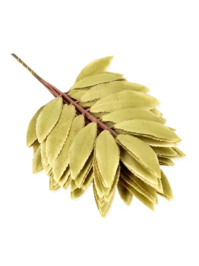 LIŚĆ LAUROWY 47CM / 0746MP(10) OLD OLIVE