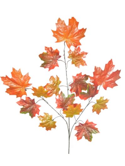 LIŚĆ KLONU GAŁĄZKA