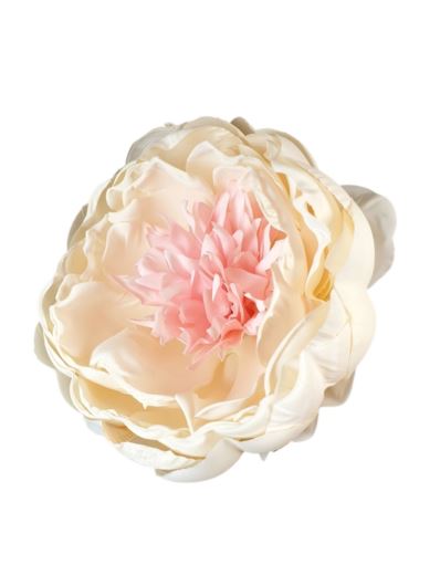 PEONIA GŁOWA 10CM VINTAGE OLD CREAM LT PINK CENTER