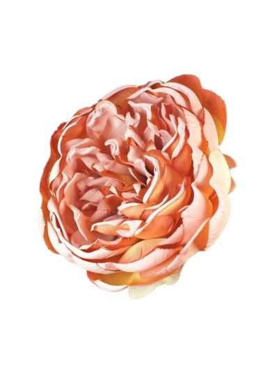 PEONIA GŁOWA 10CM VINTAGE OLD BRICK BROWN GREEN