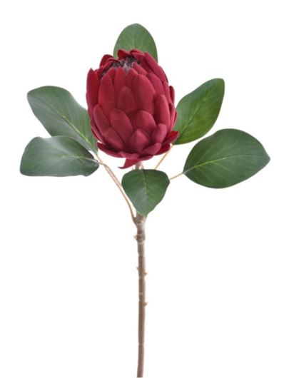 PROTEA VELVET 66CM ART284 VINE BURGUNDY