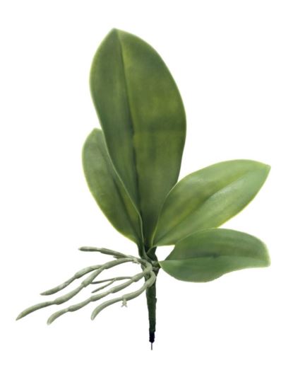 LIŚĆ STORCZYKA MAŁY 20CM LA729 GREEN