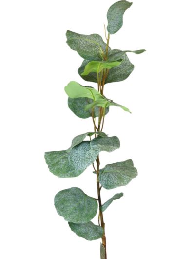 EUKALIPTUS GIGANT 10CM LIŚCIE GAŁĄZKA 95CM