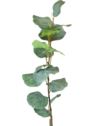 EUKALIPTUS GIGANT 10CM LIŚCIE GAŁĄZKA 95CM