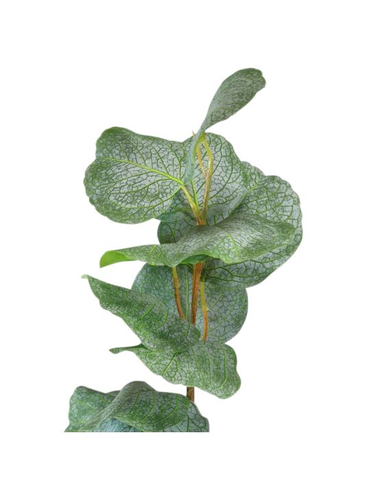 EUKALIPTUS GIGANT 10CM LIŚCIE GAŁĄZKA 95CM