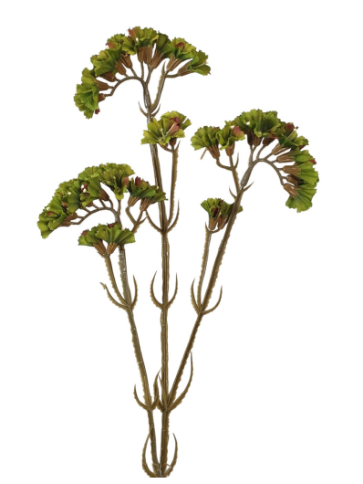 ZATRWIAN GAŁĄZKA 62CM OLD OLIVE GREEN