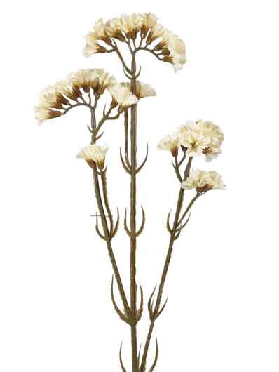 ZATRWIAN GAŁĄZKA 62CM OLD CREAM