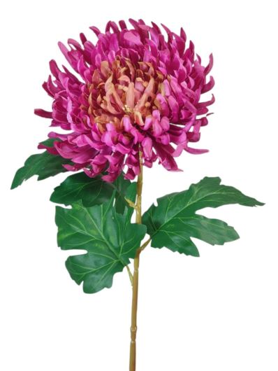 CHRYZANTEMA PŁASKA NA ŁODYDZE 65CM GREEN PURPLE