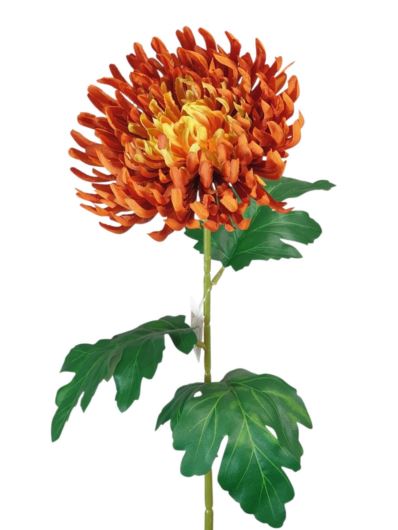 CHRYZANTEMA PŁASKA NA ŁODYDZE 65CM ORANGE