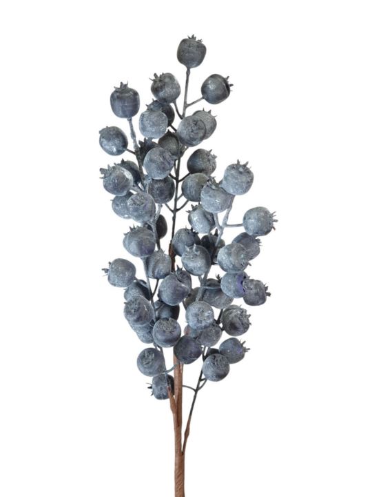 BORÓWKA BLUEBERRY GAŁĄZKA 60CM DK BLUE