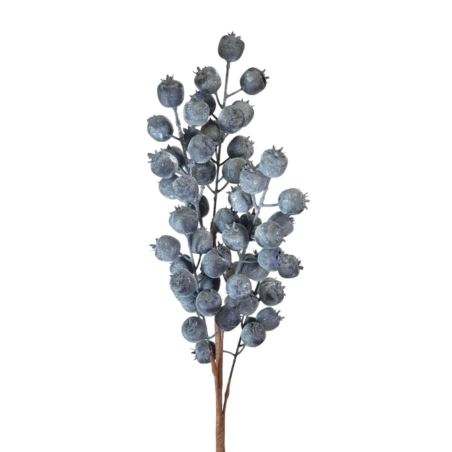 BORÓWKA BLUEBERRY GAŁĄZKA 60CM DK BLUE