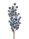 BORÓWKA BLUEBERRY GAŁĄZKA 60CM DK BLUE