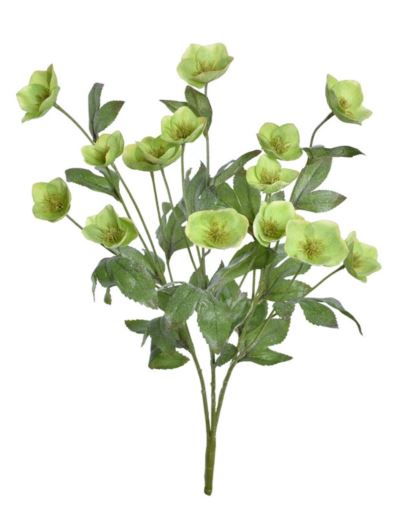 CIEMIERNIK BUKIET OSZRONIONY 21CM XFMN028 FROST GR