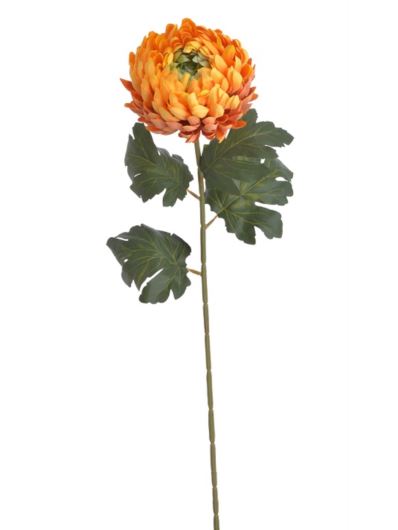 CHRYZANTEMA POJEDYNCZA 74CM OLD ORANGE GREEN