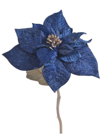 POINSECJA VELVET 30CM DK BLUE GOLD CENTER