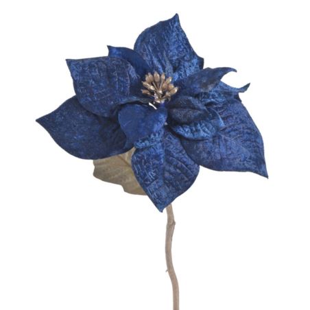 POINSECJA VELVET 30CM DK BLUE GOLD CENTER