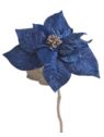 POINSECJA VELVET 30CM DK BLUE GOLD CENTER