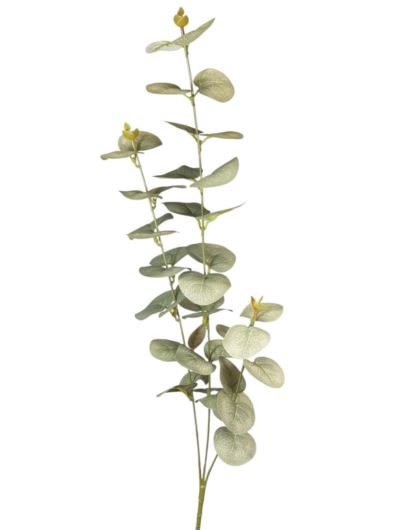 EUKALIPTUS GAŁĄZKA 76CM GSE-48 OLD POWDER GREEN