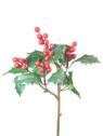 OSTOKRZEW Z OWOCAMI 43CM RED