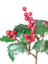OSTOKRZEW Z OWOCAMI 43CM RED