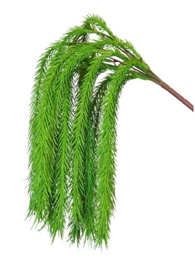 ARAUCARIA BUKIET ELASTYCZNY 54CM GREEN MAT