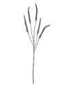TAWUŁKA GAŁĄZKA 75CM NCG009  BLACK GLITTER
