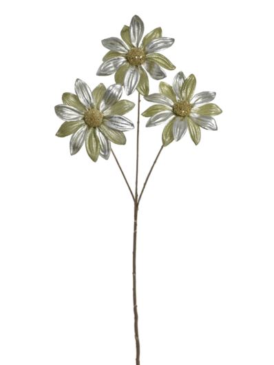 RUDBEKIA ŚWIĄTECZNA 60CM NCG022  GREEN
