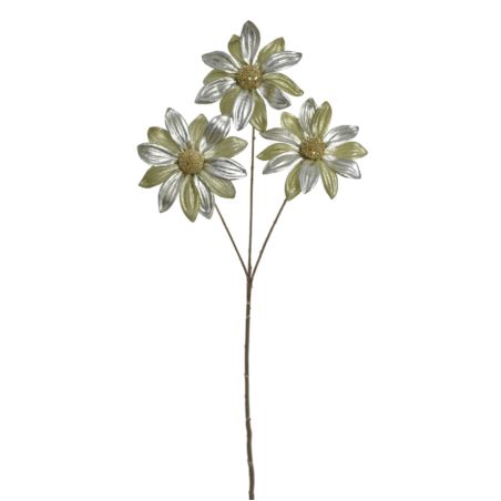 RUDBEKIA ŚWIĄTECZNA 60CM NCG022  GREEN