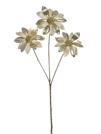 RUDBEKIA ŚWIĄTECZNA 60CM NCG022  CHAMPAGNE