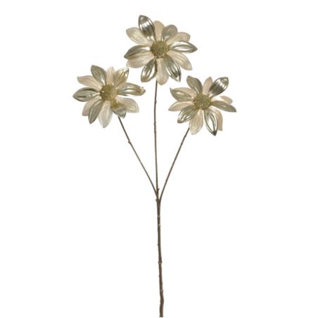 RUDBEKIA ŚWIĄTECZNA 60CM NCG022  CHAMPAGNE