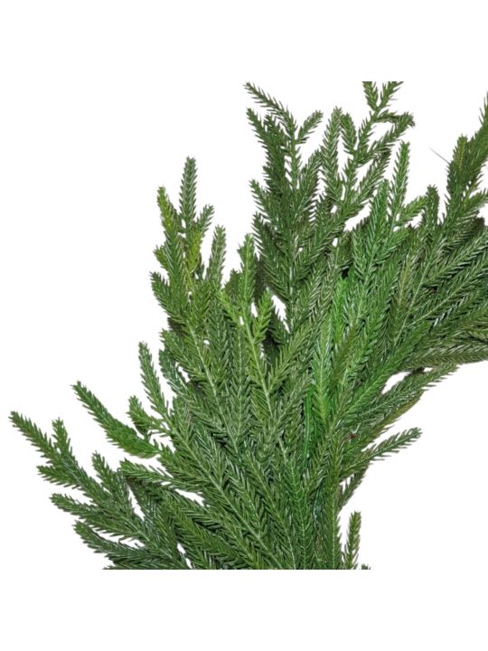 WIANEK IGLASTY DROBNA IGŁA 60CM DK GREEN