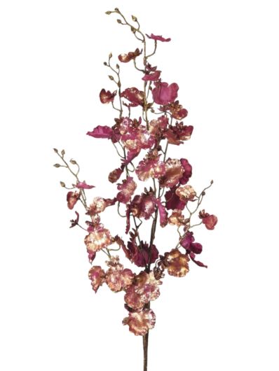 ŚWIĄTECZNE ONCYDIUM 90CM BURGUNDY GOLD