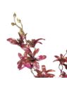 ŚWIĄTECZNA GAŁĄZKA KWITNĄCA 90 CM BURGUNDY GOLD