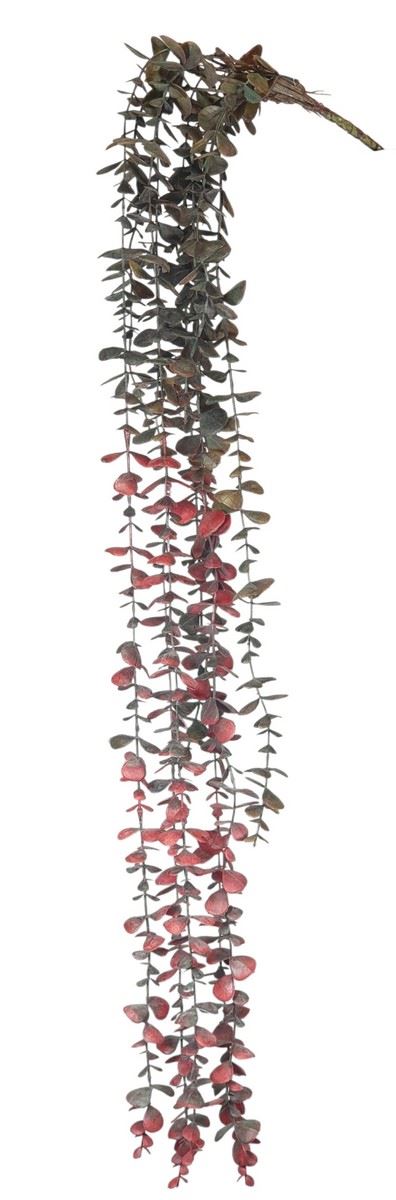 EUKALIPTUS ZWIS 100CM POWDER GRAY RED