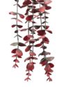 EUKALIPTUS ZWIS 100CM POWDER GRAY RED