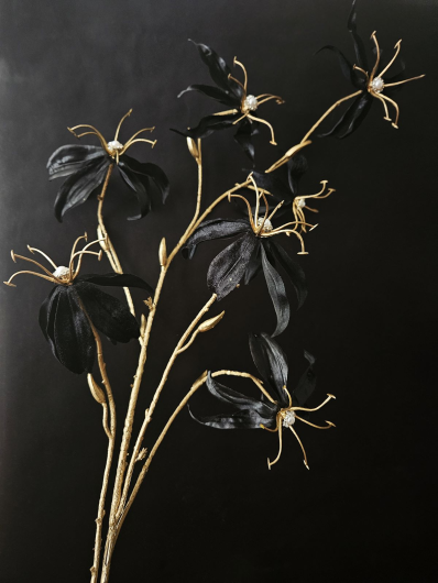 GLORIOZA Z PERŁAMI 110CM NCG002 BLACK GOLD STEAM