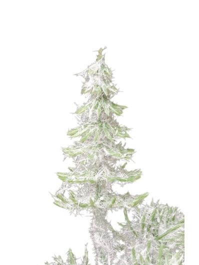 CHOINKA MINI 7CM 7x PIK GREEN SNOW GLITER