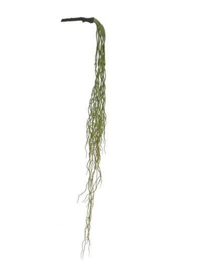 KORZEŃ ZWISAJĄCY GUMA 120CM JUN098 GREEN