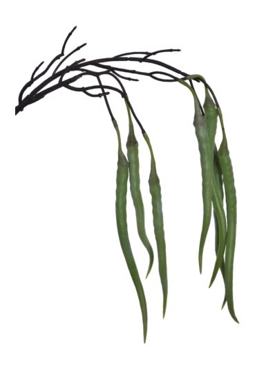 MORINGA GAŁĄZKA 79CM YD425  GREEN