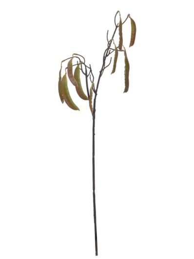 MORINGA GAŁĄZKA 79CM YD425  GREEN EDGE BROWN