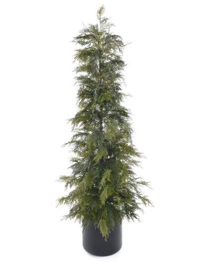 TUJA W DONICZCE 150CM XYD007  GREEN