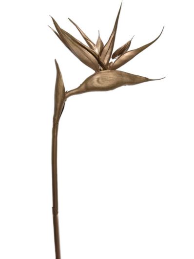 STRELICJA GUMA 96CM XANA001 GOLD