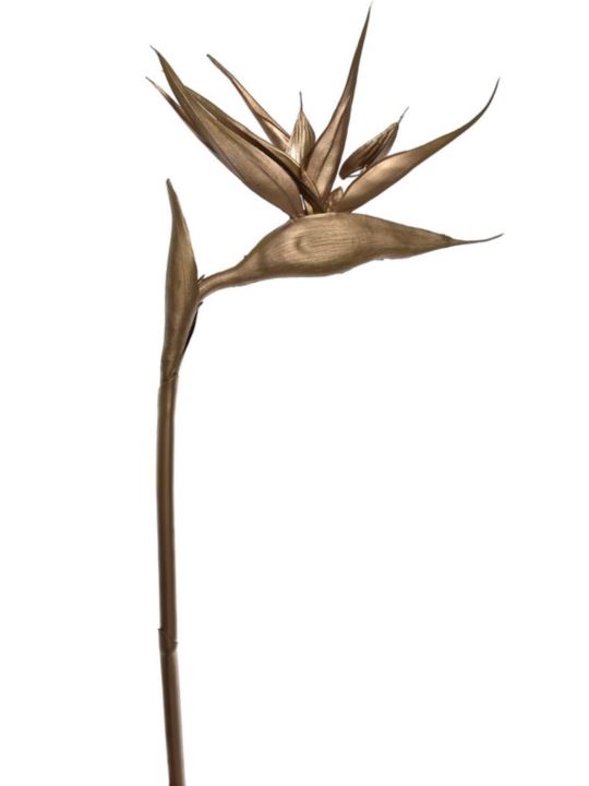 STRELICJA GUMA 96CM XANA001 GOLD