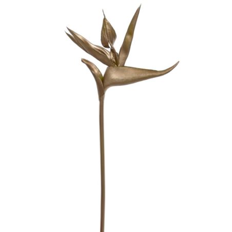 STRELICJA GUMA 59CM XANA002 GOLD