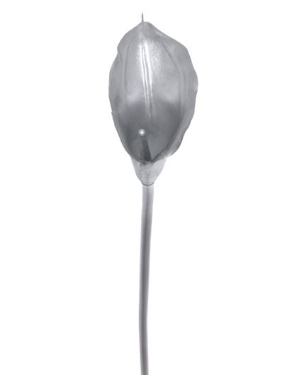 CALLA POJEDYNCZA – GUMA XANA003 SILVER