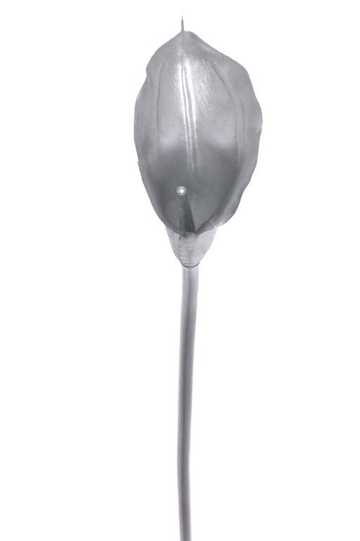CALLA POJEDYNCZA – GUMA XANA003 SILVER