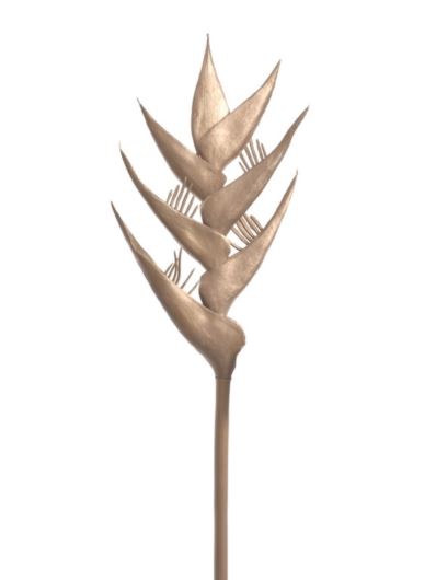 HELIKONIA POJEDYNCZA – GUMA XANA005 GOLD