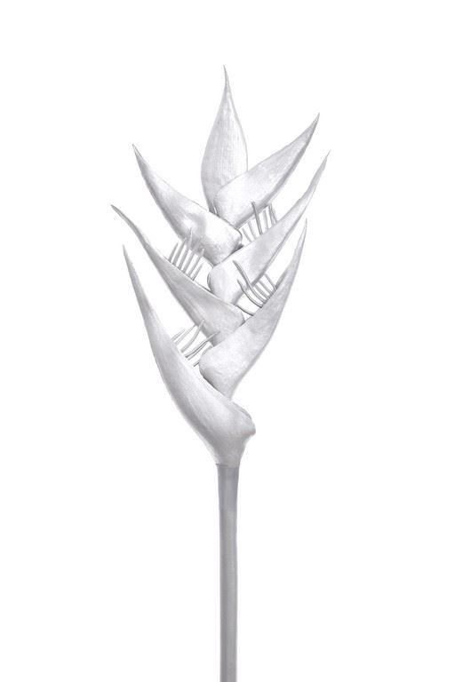 HELIKONIA POJEDYNCZA – GUMA XANA005 SILVER