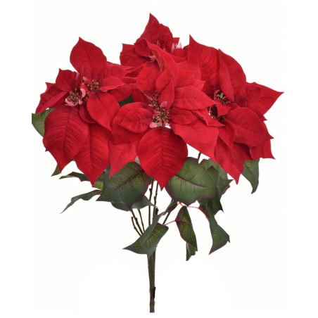 POINSECJA BUKIET LUX VELVET 62CM SUN674 RED