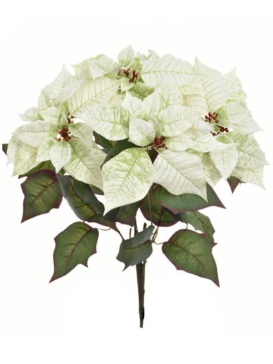 POINSECJA BUKIET LUX VELVET 62CM SUN674 WHITE GR